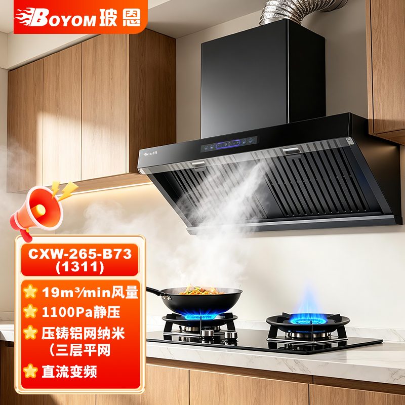 玻恩吸油烟机 1311
