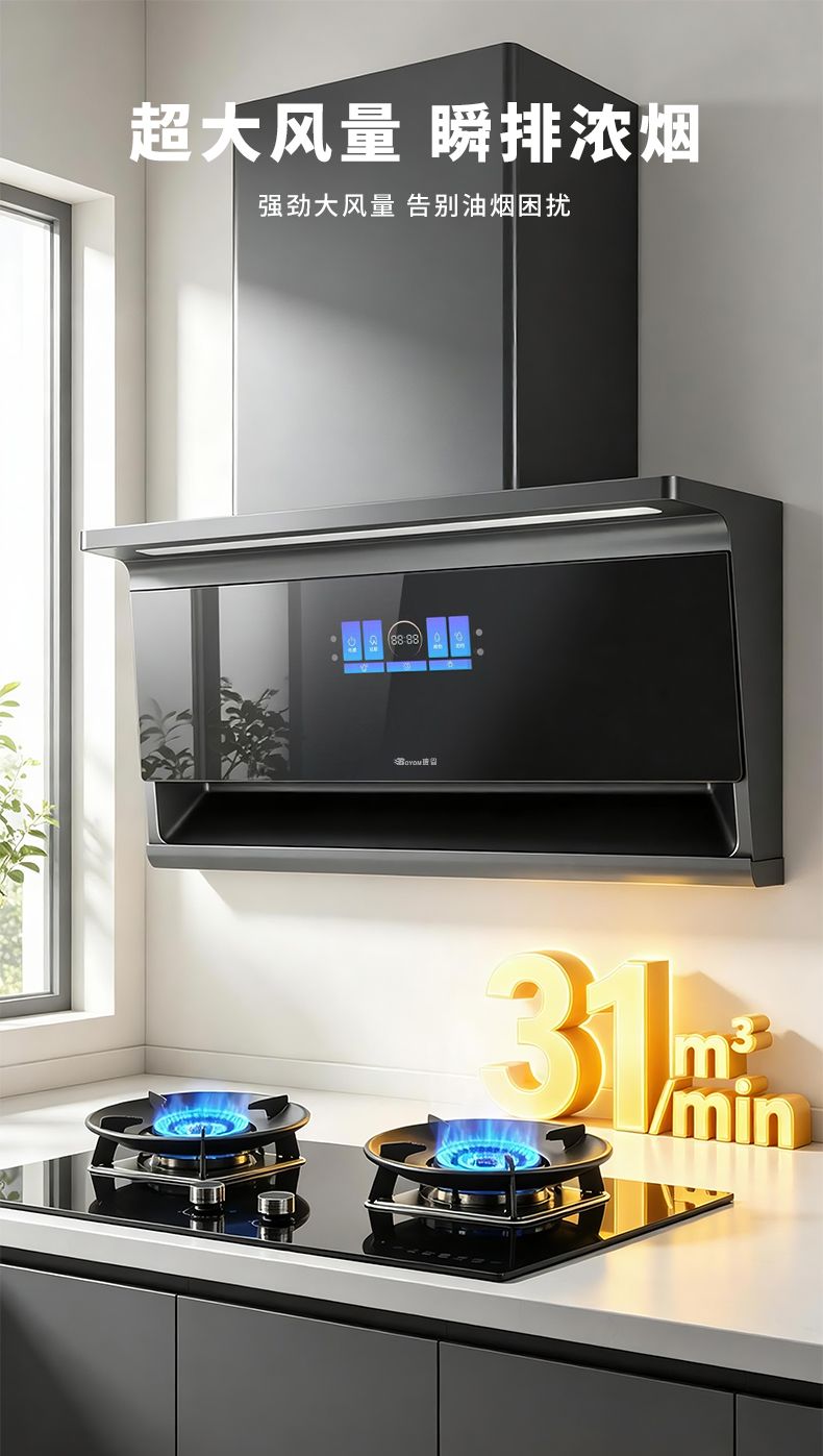 玻恩吸油烟机 T21