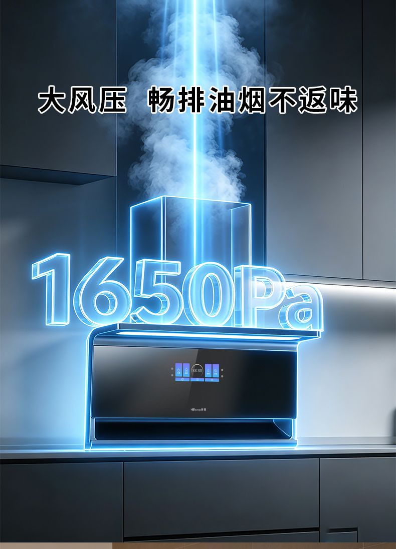 玻恩吸油烟机 T21