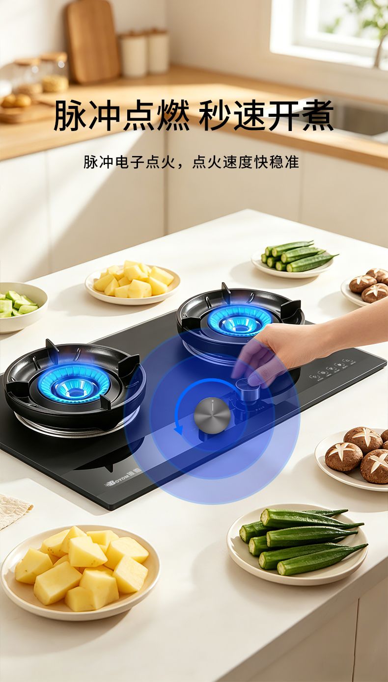 玻恩燃气灶 B38A
