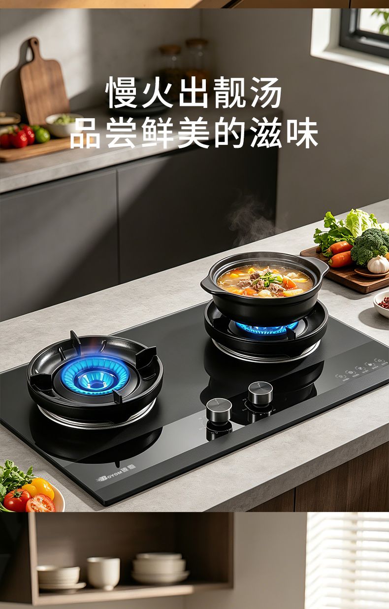 玻恩燃气灶 B38A
