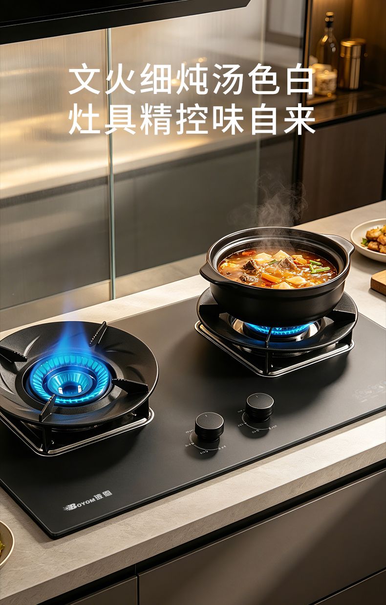 玻恩燃气灶 B50B-1