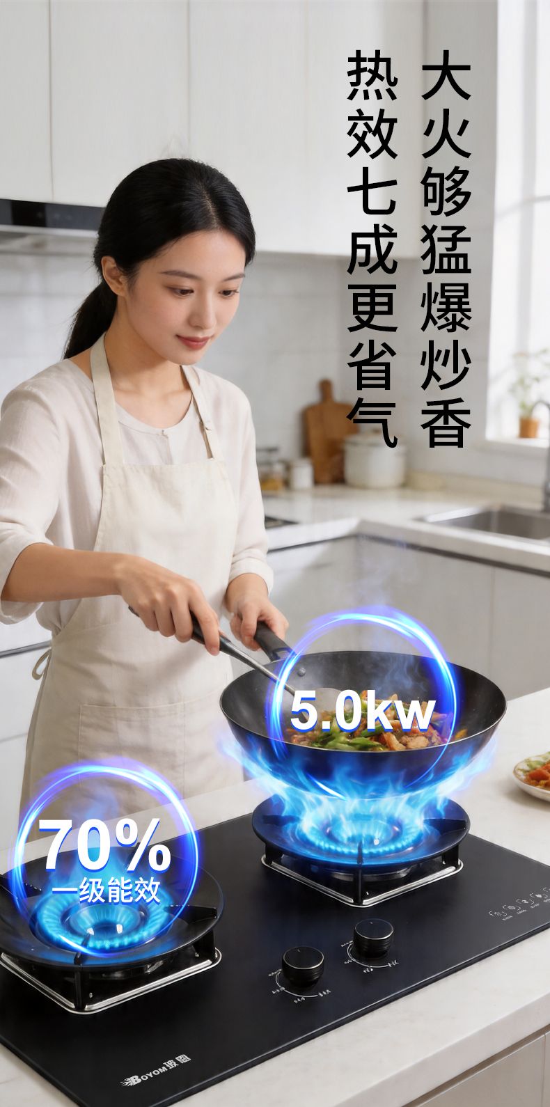 玻恩燃气灶 B50B-1
