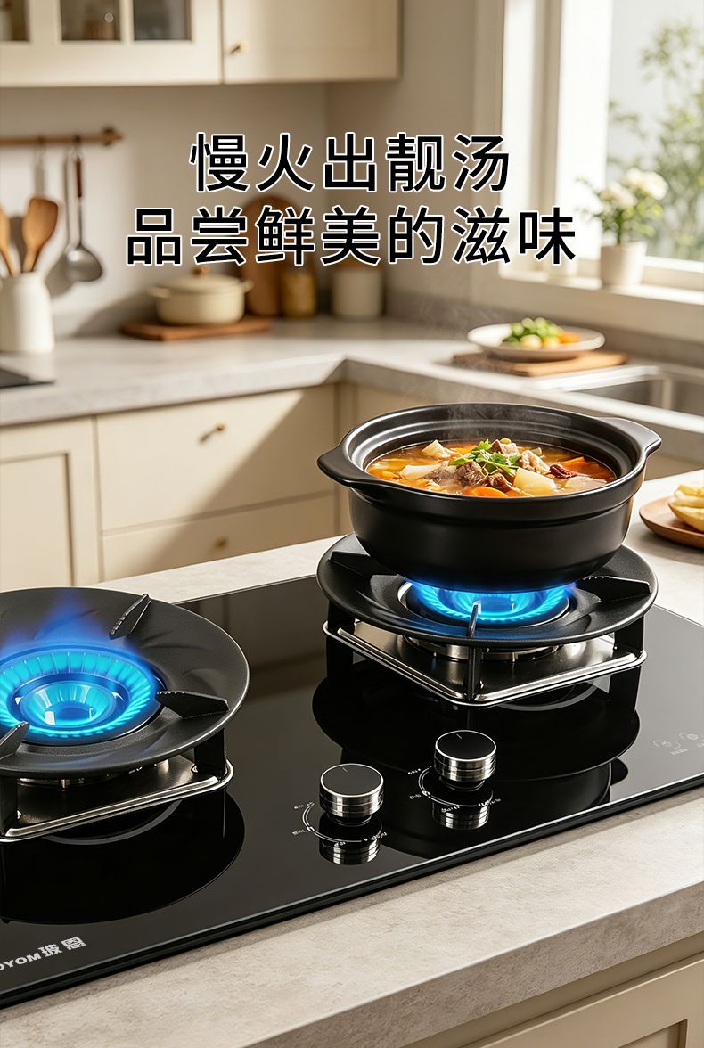 玻恩燃气灶 B50B