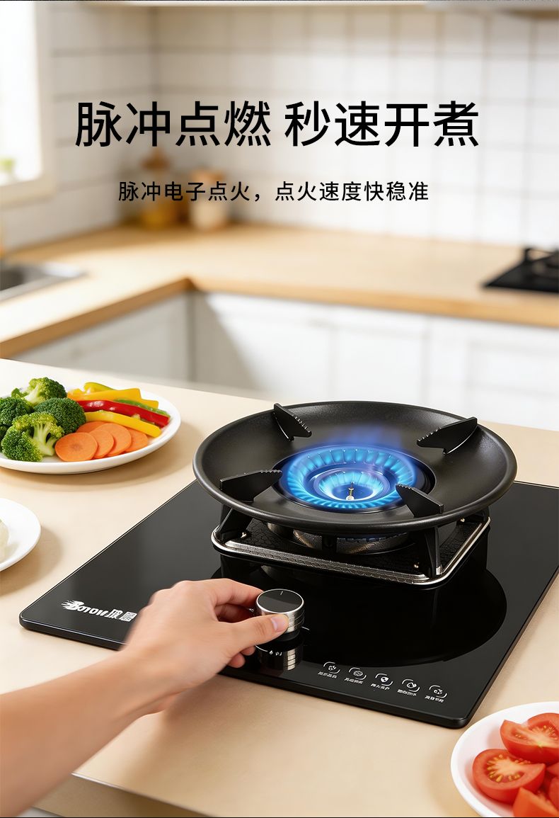 玻恩燃气灶 B52B