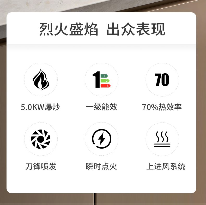 玻恩燃气灶 B52B