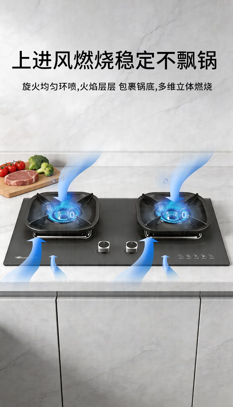 玻恩燃气灶 B59A-1