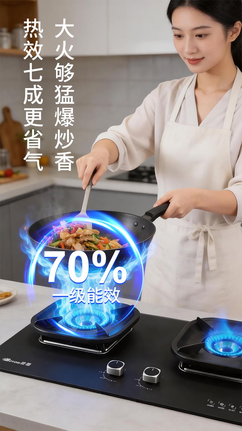 玻恩燃气灶 B59A-1