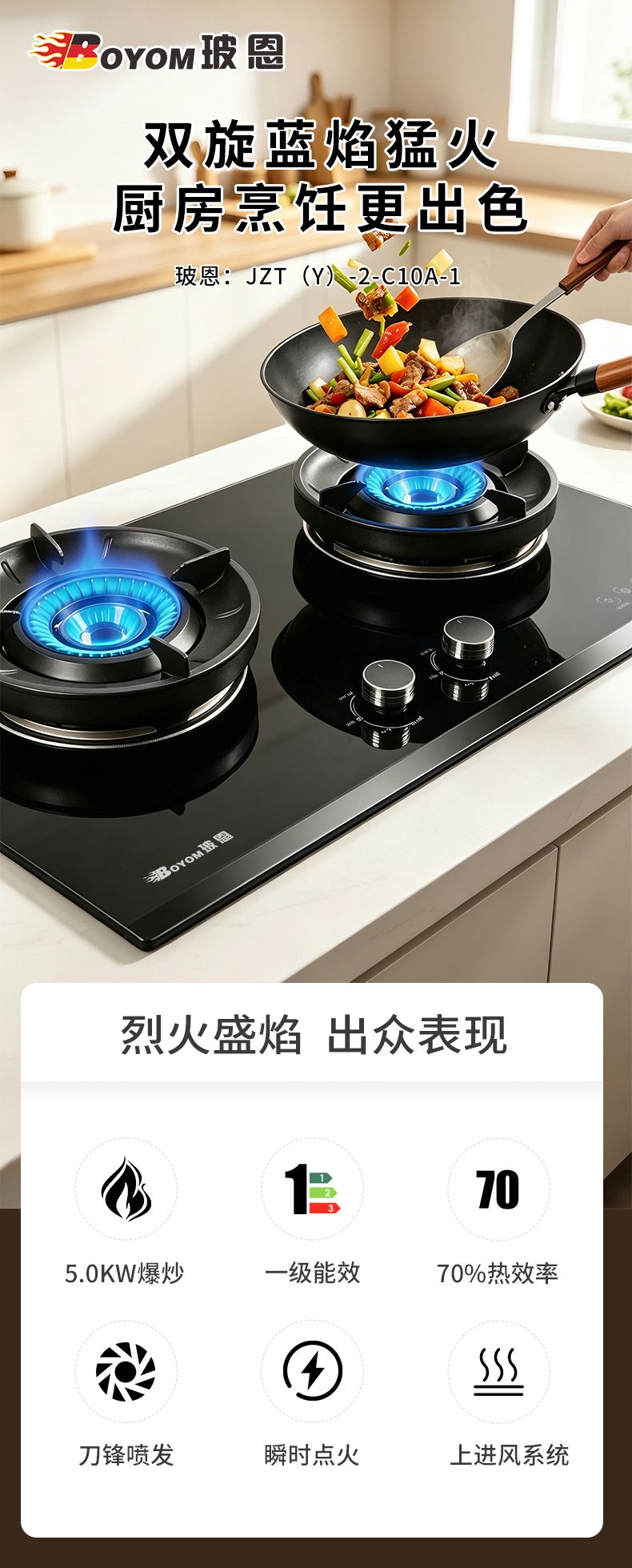 玻恩燃气灶 C10A-1