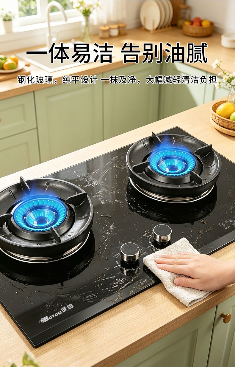 玻恩燃气灶 C10A-1