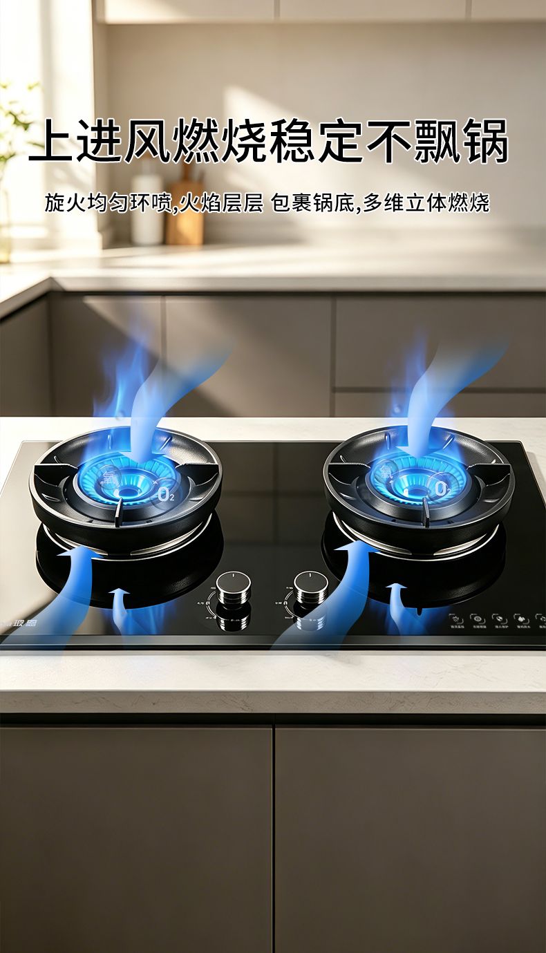 玻恩燃气灶 C10A-1