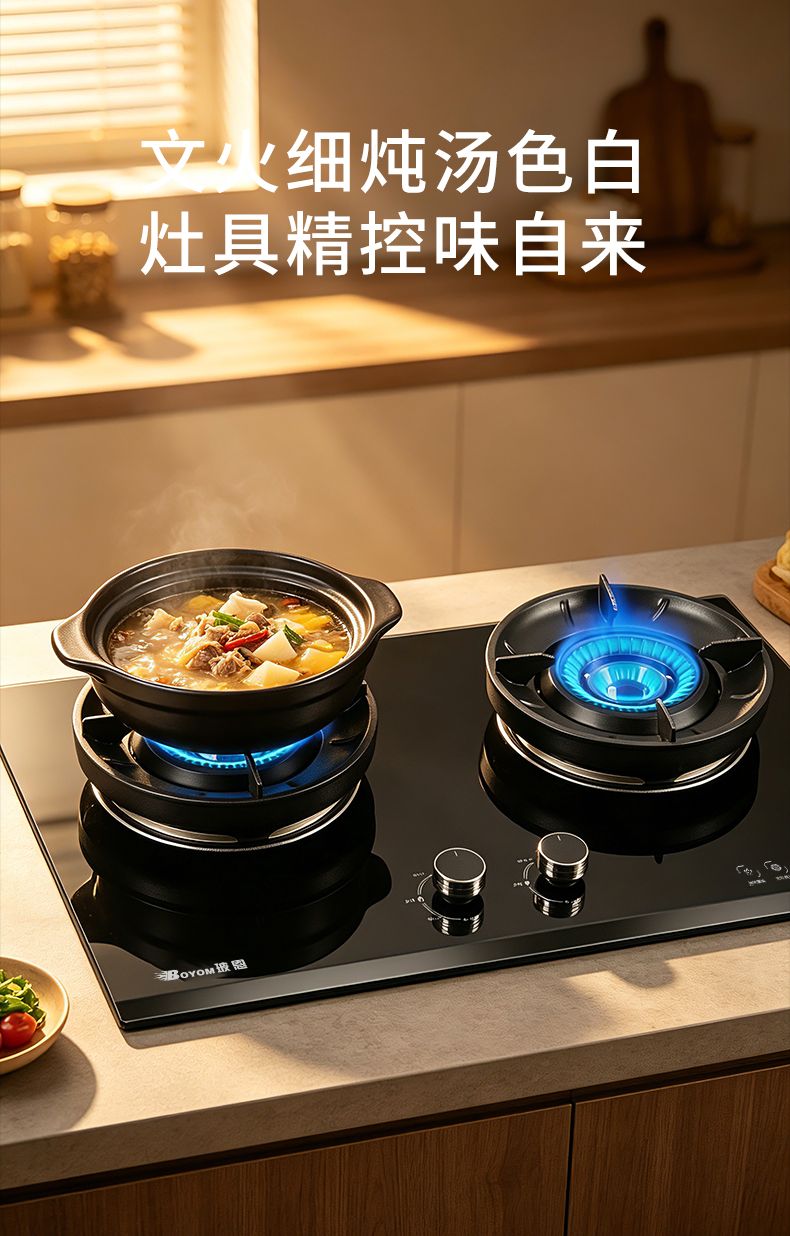 玻恩燃气灶 C10A-1
