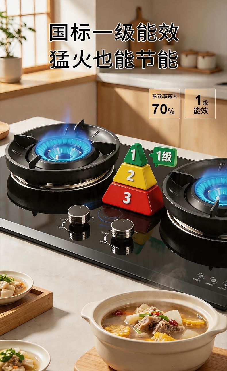 玻恩燃气灶 C10A-1