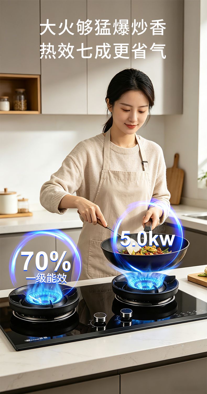 玻恩燃气灶 C10A-1