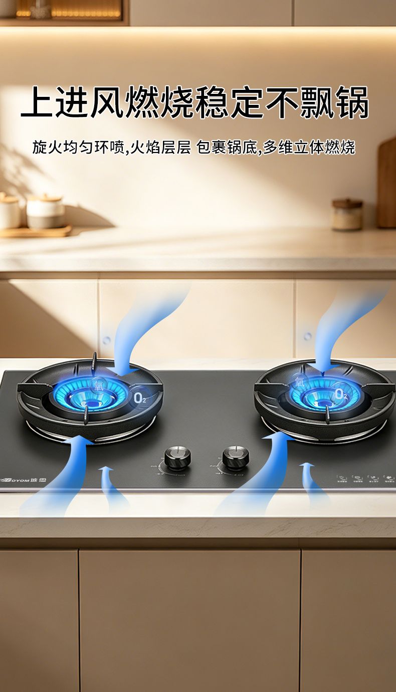 玻恩燃气灶 C10A-3