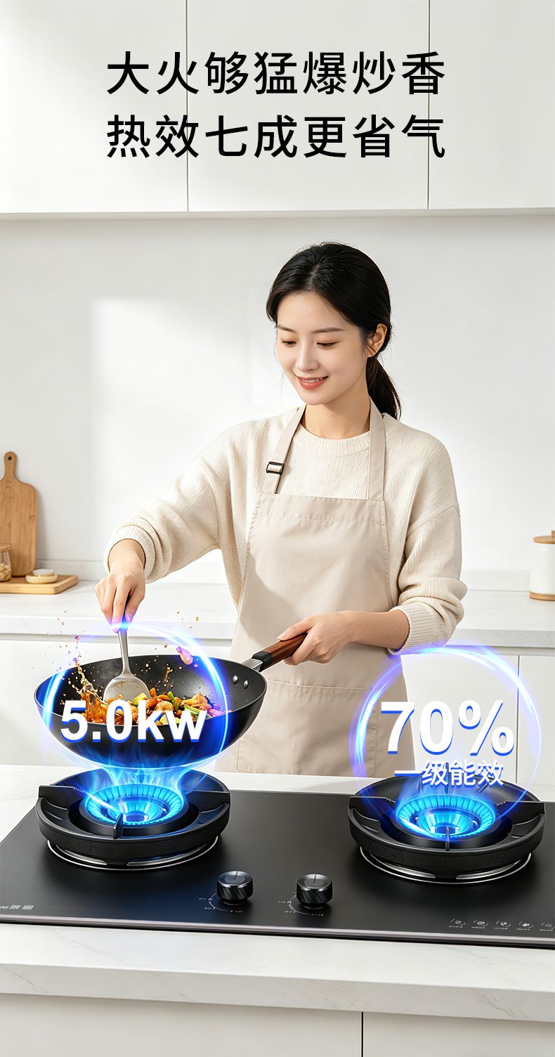 玻恩燃气灶 C10A-3