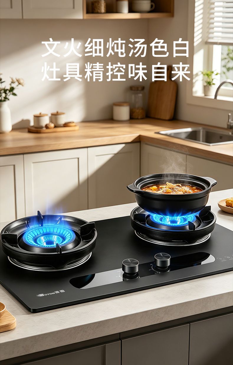 玻恩燃气灶 C10A