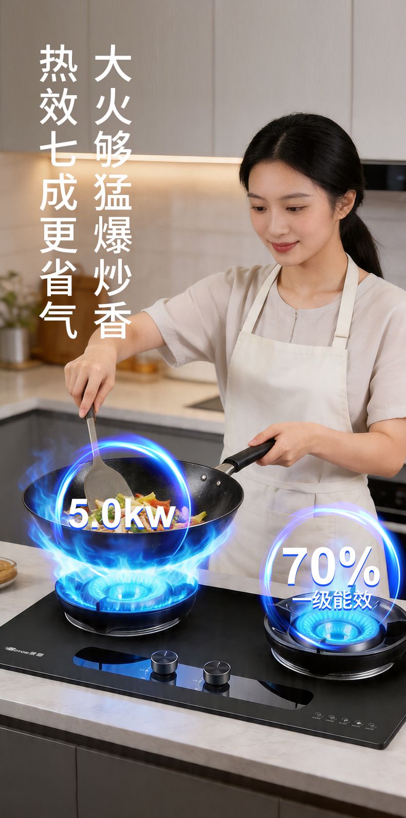 玻恩燃气灶 C10A