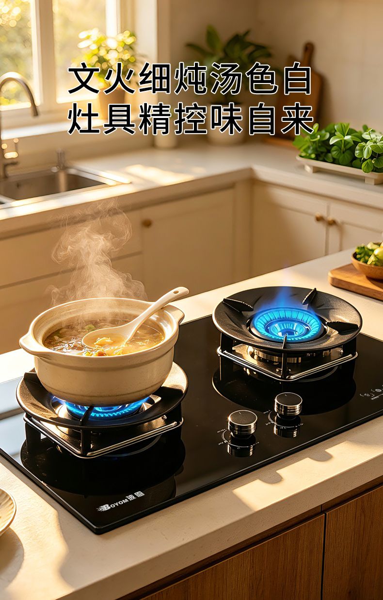玻恩燃气灶 C20A