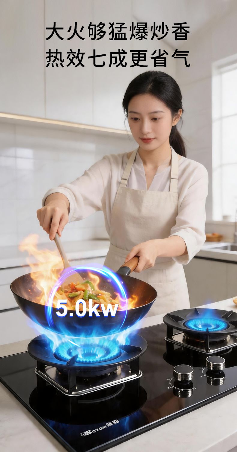 玻恩燃气灶 C20A