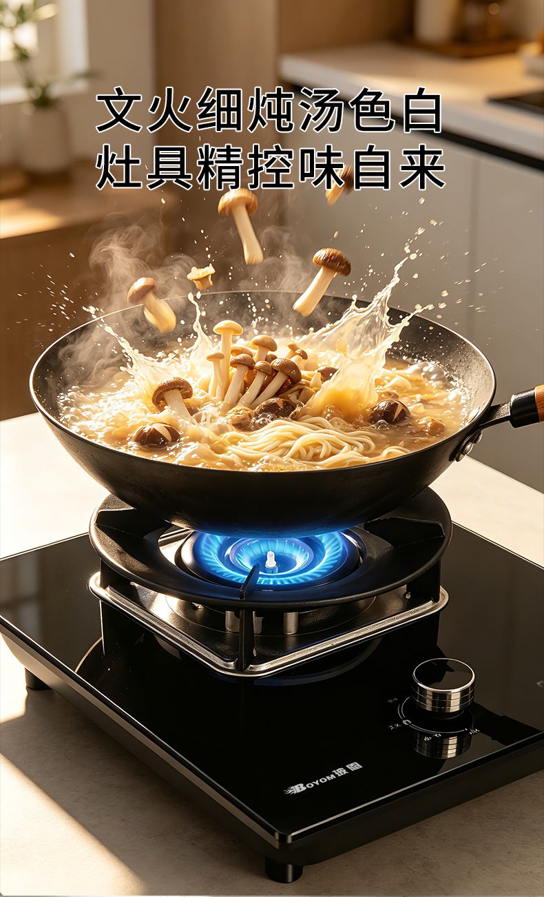 玻恩燃气灶 C20B