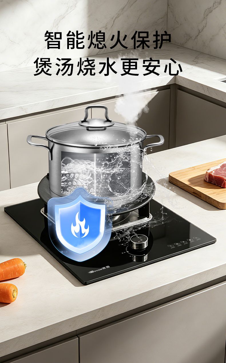 玻恩燃气灶 C20B